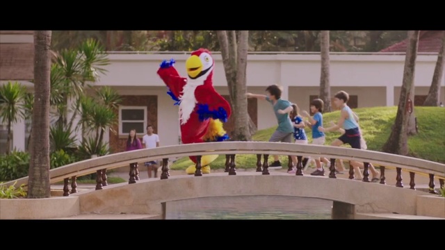 Video Reference: Macaw, Fun, Leisure, Recreation, Parrot, Fictional character, World, Mascot, Person