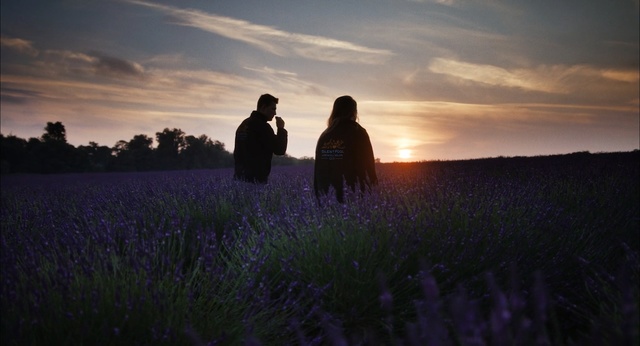 Video Reference: sky, field, purple, grass, evening, plant, morning, atmosphere, tree, grass family, Person