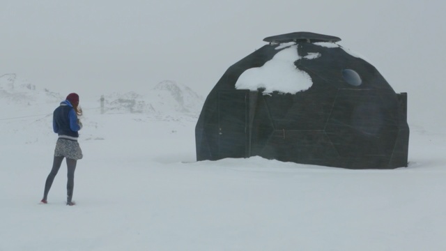 Video Reference: Snow, Winter storm, Blizzard, Freezing, Winter, Igloo, Art, Person
