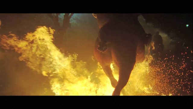 Video Reference: Heat, Flame, Fire, Geological phenomenon, Wildfire, Atmosphere, Sunlight, Wildlife, Smoke, Person