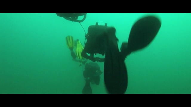 Video Reference: underwater diving, divemaster, scuba diving, underwater, aquanaut, freediving, marine biology, organism, diving, recreation