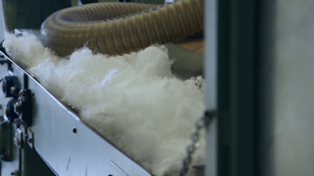 Video Reference: Comfort food