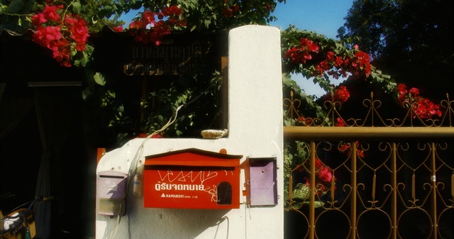 Video Reference: red, flower, plant, tree, house, facade, street