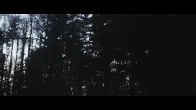 Video Reference: nature, black, atmosphere, sky, black and white, darkness, monochrome photography, night, ecosystem, tree