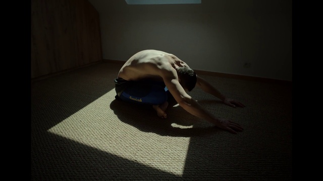 Video Reference: Floor, Flooring, Canidae, Sporting Group, Physical fitness, Yoga