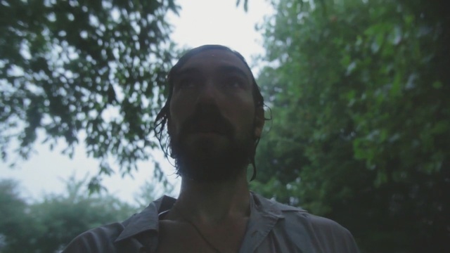 Video Reference: Hair, Head, Tree, Sunlight, Male, Human, Summer, Photography, Grass, Forest