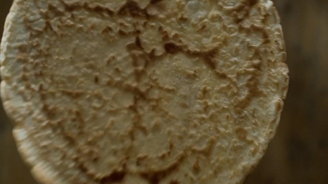 Video Reference: flatbread, baked goods, chapati, recipe, Person