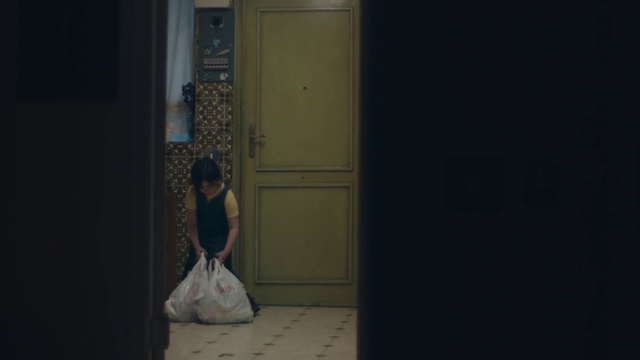 Video Reference: Photograph, Dress, Standing, Photography, Gown, Room, Darkness, Door