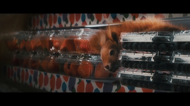 Video Reference: Font