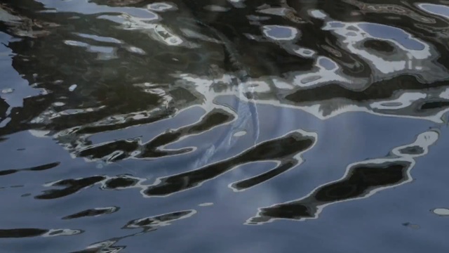 Video Reference: water, reflection, water resources, organism, sky, wave, earth, marine biology