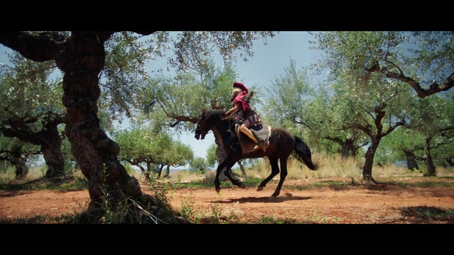 Video Reference: Horse, Bridle, Rein, Stallion, Recreation, Mare, Western riding, Pack animal, Equestrianism, Saddle