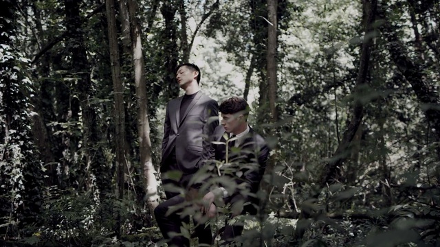 Video Reference: Forest, Natural environment, Woodland, Tree, Wilderness, Old-growth forest, Jungle, Biome, Photography, Plant