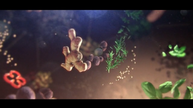 Video Reference: Nature, Organism, Leaf, Green, Snapshot, Macro photography, Adaptation, Sky, Atmosphere, Photography