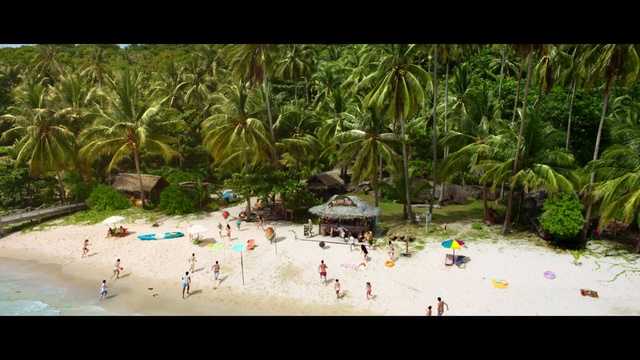 Video Reference: tree, woody plant, vascular plant, plant, landscape, tropical