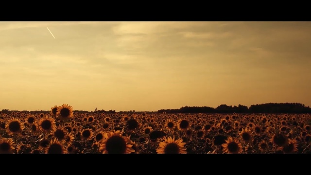 Video Reference: Sky, Horizon, Nature, Field, Cloud, Evening, Morning, Sunset, Ecoregion, Rural area