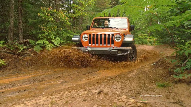 Video Reference: Land vehicle, Vehicle, Off-roading, Jeep, Car, Regularity rally, Off-road vehicle, Jeep wrangler, Trail, Forest