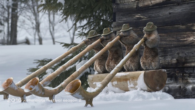 Video Reference: Alphorn, Winter, Snow, Wood, Wind instrument, Freezing, Outdoor, Covered, Bird, Brown, Wooden, Standing, Dog, Large, Group, Holding, Riding, Field, Parrot, Playing, Chicken, People