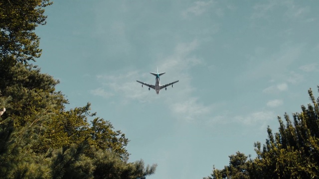 Video Reference: Airplane, Air travel, Aircraft, Sky, Aviation, Vehicle, Flight, Airline, Airliner, Cloud