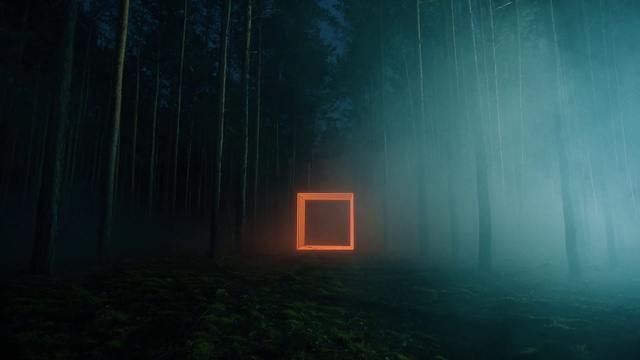 Video Reference: Atmosphere, Plant, Automotive lighting, Natural landscape, Wood, Tree, Grass, Fog, Tints and shades, Landscape
