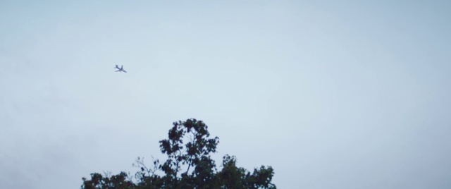 Video Reference: Sky, Daytime, Atmospheric phenomenon, Wing, Atmosphere, Tree, Flight, Cloud, Air travel, Vehicle
