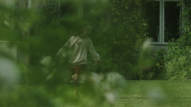 Video Reference: green, nature, grass, ecosystem, lawn, tree, leaf, plant, water, sunlight