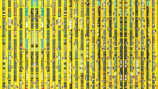 Video Reference: yellow, pattern, line, design, symmetry, grass, font, Person
