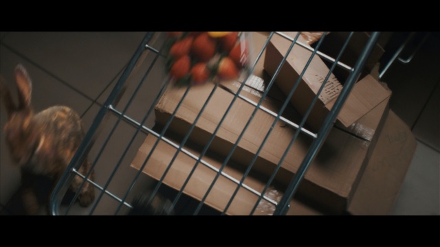 Video Reference: Cage, Dog crate, Animal shelter, Dog supply, Pet supply, Puppy