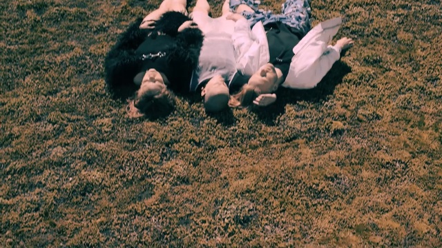 Video Reference: soil, grass, plant, fun, tree, girl, Person