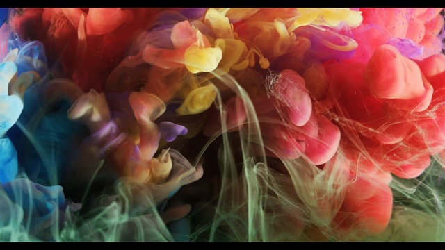 Video Reference: flower, pink, petal, flowering plant, flora, plant, spring, computer wallpaper, floristry, flower arranging, Person