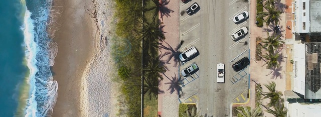 Video Reference: tree, urban area, wall, plant, water, city, building, window, house, facade