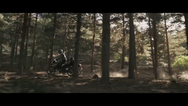 Video Reference: Woodland, Forest, Nature, Tree, Downhill mountain biking, Natural environment, Vehicle, Freeride, Trail, Wilderness