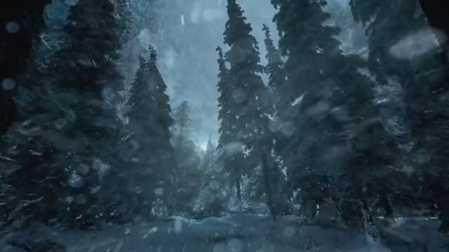 Video Reference: Nature, Atmospheric phenomenon, Atmosphere, Darkness, Forest, Natural environment, Water, Biome, Tree, Old-growth forest