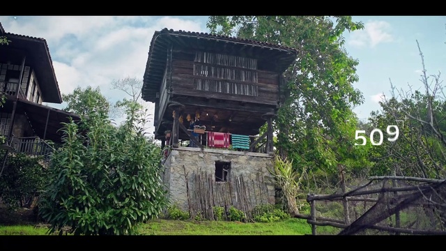 Video Reference: Sky, Cloud, Plant, Natural landscape, Wood, Land lot, Tree, Landscape, Grass, Font