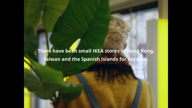 Video Reference: Leaf, Organism, Yellow, Plant, Adaptation, Flower, Photo caption, Font, Plant stem, Houseplant