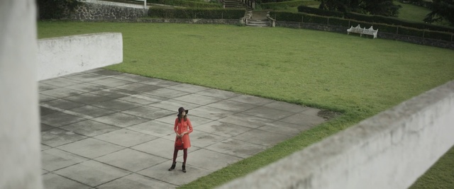 Video Reference: green, grass, wall, lawn, day, walkway, public space, plant, structure, architecture