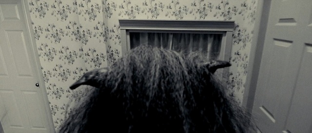 Video Reference: Hair, Horse, Hairstyle, Mane, Black-and-white, Long hair, Window, Room, Monochrome photography, Photography, Person