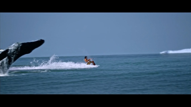 Video Reference: Wind wave, Wave, Water sport, Surfing Equipment, Surface water sports, Surfing, Boardsport, Recreation, Ocean, Surfboard