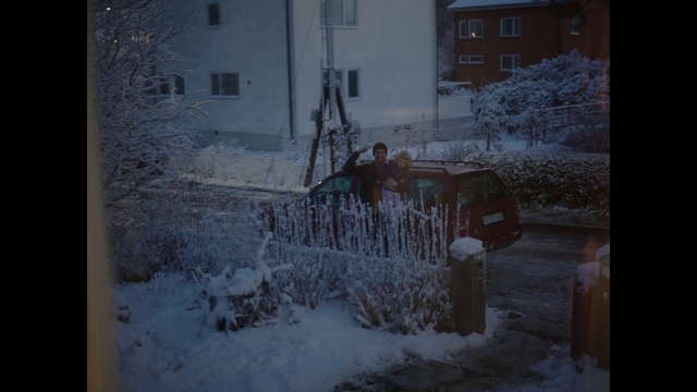 Video Reference: Snow, Winter, Freezing, Frost, Ice, Home, Branch