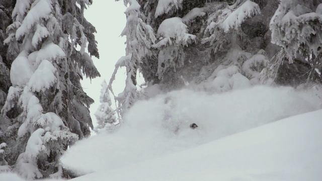 Video Reference: snow, winter, freezing, geological phenomenon, tree, frost, terrain, winter storm, piste, ice, Person