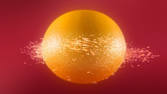 Video Reference: yellow, macro photography, sun, orange, computer wallpaper, still life photography, sphere, Person