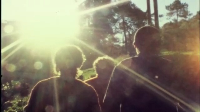 Video Reference: sky, sunlight, tree, grass, smoke, backlighting, computer wallpaper, screenshot