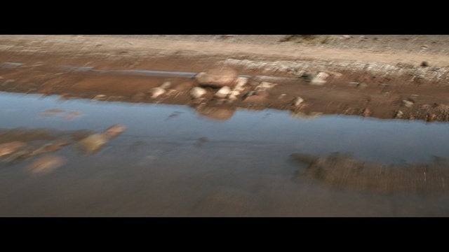 Video Reference: Water, Reflection, Sky, Water resources, Atmosphere, Calm, Soil, Cloud, Floor, Landscape, Beach, Sitting, Snow, Surfing, Covered, Standing, Bird, Man, Ocean, Laying, Sun, Sand, Walking, White, Board, Holding, Boat, Street, Flying, Cat, Umbrella, Riding, Parked, Bed, Screenshot, Shore