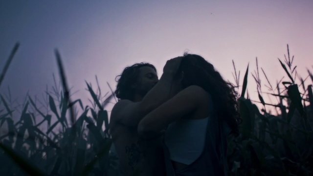 Video Reference: People in nature, Sky, Photograph, Blue, Grass, Beauty, Photography, Grass family, Backlighting, Tree