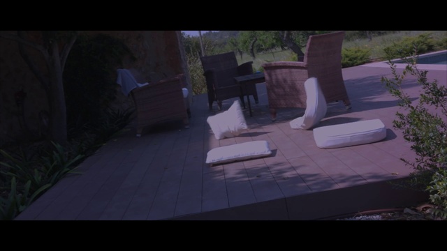 Video Reference: Purple, Screenshot, Tree, Architecture, Digital compositing, Photography, Darkness, Landscaping, Walkway