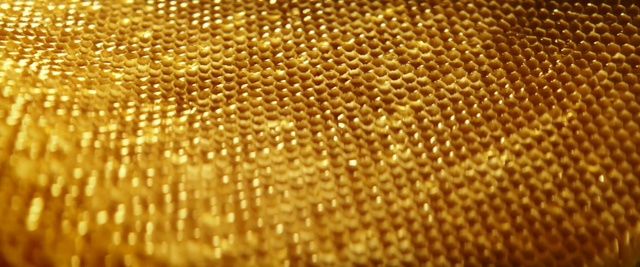 Video Reference: yellow, honeycomb, pattern, macro photography, organism, moisture
