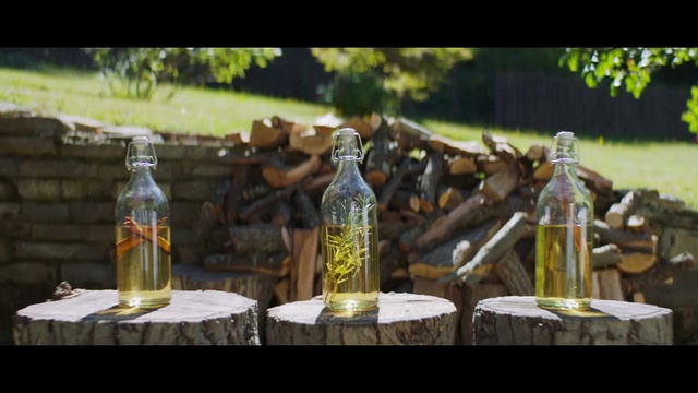 Video Reference: Bottle, Glass bottle, Sculpture, Art, Plant, Statue, Glass, Wine bottle, Table, Drinkware