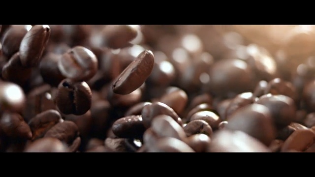 Video Reference: Chocolate, Food, Plant, Bean