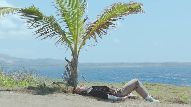 Video Reference: Tree, Palm tree, Arecales, Elaeis, Tropics, Attalea speciosa, Plant, Shore, Woody plant, Vacation