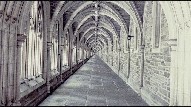 Video Reference: Arch, Aisle, Black-and-white, Architecture, Arcade, Building, Monochrome, Vault, Monochrome photography, Line