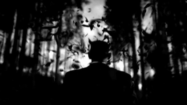 Video Reference: Black, Photograph, Black-and-white, Monochrome photography, White, Monochrome, Darkness, Photography, Snapshot, Movie